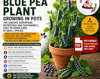Blue Pea Plant Growing Guide PDF | How to Grow Butterfly Pea in Pots | Tropical Flower Balcony Gardening Guide
