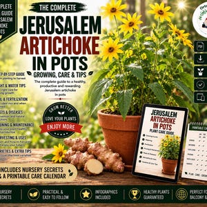 May include: A digital guide titled The Complete Jerusalem Artichoke in Pots featuring a terracotta pot with a yellow-flowered plant, raw tubers, a tablet displaying the plant care guide, and a printable care calendar on a wooden surface.