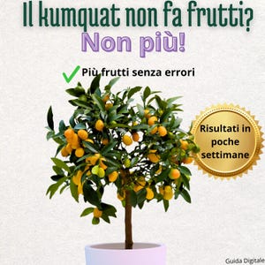 Kumquat Plant in Pot – Complete Growing Guide PDF – Balcony Citrus Tree Care – How to Grow Kumquat – Indoor Outdoor Fruit Plant