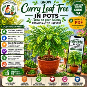 Op de afbeelding: Een digitale gids voor het kweken van een kerriebladboom in potten, met de tekst Grow Curry Leaf Tree In Pots, Grow on your balcony, From plant to harvest en Complete Digital Guide. De afbeelding toont een kerriebladboom in een pot.