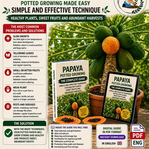 May include: An informational graphic about growing papaya in pots. The image features a papaya plant with green and orange fruits, a book, and a tablet with the same cover design. Text includes tips for healthy plants and abundant harvests.