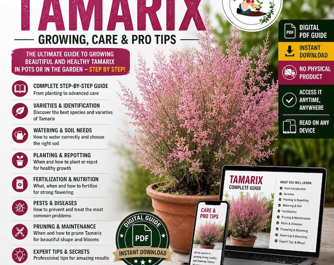 Tamarix Growing Guide PDF | Potted Salt Cedar Care | Watering, Pruning, Repotting & Fertilizing | Digital Plant Guide