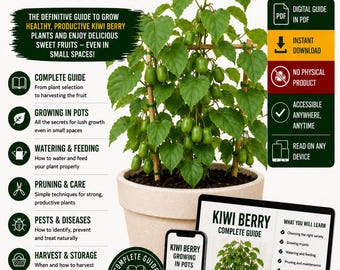 Kiwi Berry Growing Guide PDF | Hardy Kiwi in Pots | Actinidia arguta Care | Container Gardening | Digital Plant Guide