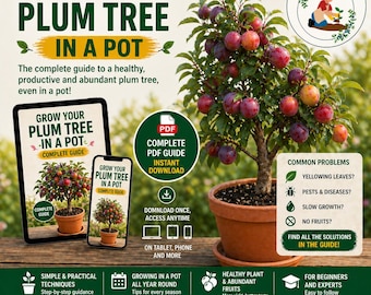 Plum Tree in Pot Guide – Grow Plum Trees on Balcony or Patio | More Fruit Method, Container Fruit Tree Growing Guide