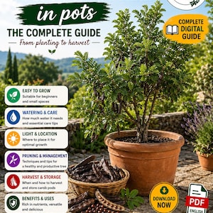 May include: A digital guide titled Grow Your Own Carob Tree in Pots featuring a potted carob tree, a basket of dark brown carob pods, and text sections covering planting, watering, light, pruning, harvest, and benefits in an English PDF format.