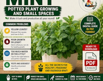 Grow Mint in Pots – Endless Mint Harvest Without It Taking Over | Easy Mint Plant Care for Balcony or Indoor Garden