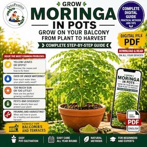 May include: A digital PDF guide titled Grow Moringa in Pots, featuring a green moringa plant in a terracotta pot, a small bowl of green powder, and text detailing cultivation steps, common plant problems, and balcony gardening instructions.