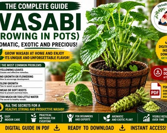 Wasabi Growing Guide PDF | How to Grow Japanese Wasabi in Pots | Complete Care, Planting, Harvest & Balcony Gardening