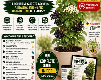 Growing Elderberry in Pots PDF | Premium Elderberry Growing Guide | Sambucus Nigra Care | Container Gardening eBook | Digital Download
