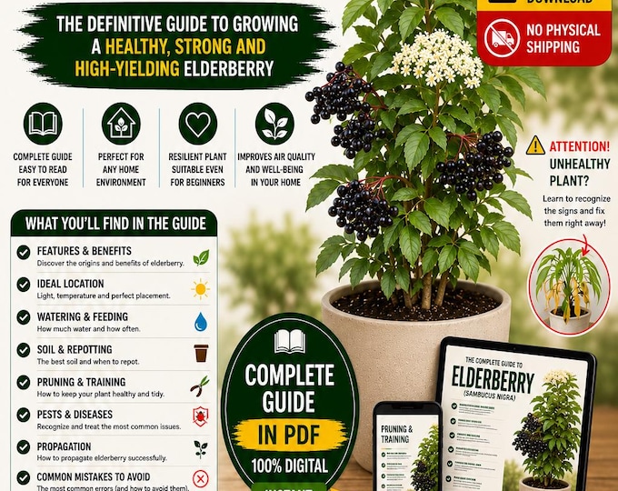Growing Elderberry in Pots PDF | Premium Elderberry Growing Guide | Sambucus Nigra Care | Container Gardening eBook | Digital Download