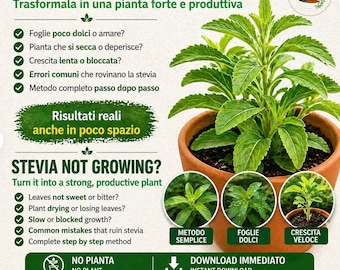 Stevia en maceta en el balcón: guía en PDF para cultivar Stevia rebaudiana | Hojas naturalmente dulces | Método fácil para principiantes (italiano/inglés)