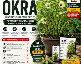 Okra Growing Guide PDF | How to Grow Okra in Containers | Complete Gumbo Plant Care Guide | Bigger Harvests