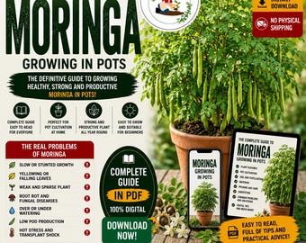 Moringa Growing Guide PDF | How to Grow Moringa oleifera in Pots | Tree of Life Care Guide | Container Gardening