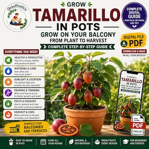 Tamarillo in Pots Guide PDF | Grow Tree Tomato on Balcony | Exotic Fruit Container Gardening | Easy Step-by-Step Guide
