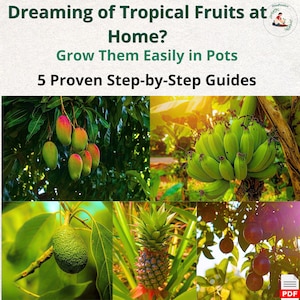 Tropische Früchte im Topf: Ratgeberpaket | Mango, Avocado, Banane, Ananas & Passionsfrucht anbauen | Gärtnern in Innenräumen und auf dem Balkon für Anfänger