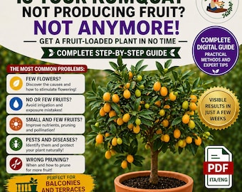 Kumquat Plant in Pot – Complete Growing Guide PDF – Balcony Citrus Tree Care – How to Grow Kumquat – Indoor Outdoor Fruit Plant