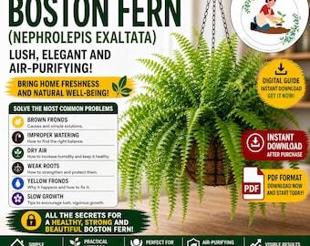 Fern Care Guide PDF – Boston Fern in Pots | Dry Leaves & Fern Problems