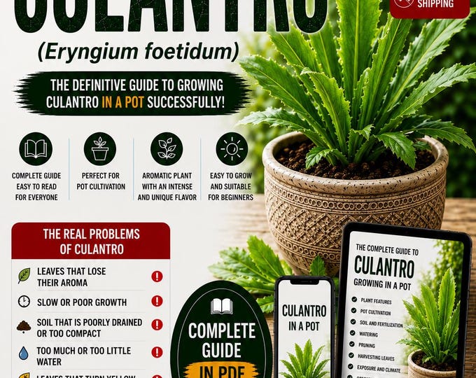 Culantro Growing Guide PDF | How to Grow Eryngium foetidum in Pots | Sawtooth Coriander Plant Care | Tropical Herb Guide