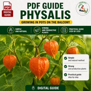 Puede incluir: Una guía PDF digital titulada "Physalis" con el texto "Growing in Pots on the Balcony". La imagen presenta frutos de physalis de color naranja brillante en ramas verdes y frondosas. La guía promete un método simple y natural para plantas fuertes y productivas.