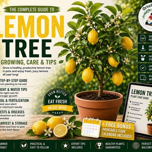 Lemon Tree Growing Guide PDF | Complete Container Gardening Guide | From Seed to Harvest Nursery Secrets | Printable Calendar & Infographics