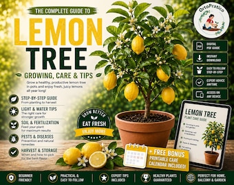 Lemon Tree Growing Guide PDF | Complete Container Gardening Guide | From Seed to Harvest Nursery Secrets | Printable Calendar & Infographics