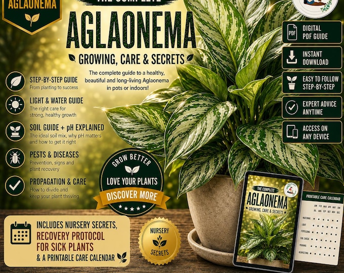 Aglaonema Plant Care Guide PDF | Chinese Evergreen Growing Guide | Watering, Repotting, Propagation & Indoor Plant Care