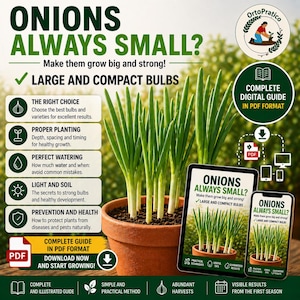 May include: An image promoting a gardening guide about growing onions. It shows a terracotta pot with green onion plants, a tablet, and a smartphone. The guide's title is "ONIONS ALWAYS SMALL?" and promises to help grow large and compact bulbs.