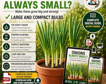Onion Growing Guide in Pots | Grow Big Bulbs at Home | Balcony Gardening PDF | Container Onion Care Guide