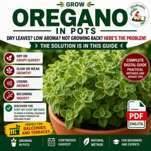 Puede incluir: Guía digital "Cultivar Orégano en Macetas" con una foto de una planta de orégano exuberante en una maceta de terracota. La guía ofrece soluciones a problemas comunes de cultivo de orégano, con consejos de expertos y un método paso a paso. Disponible en PDF.