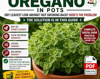 Oregano in Pots Guide | Grow on Balcony | Easy Herb Gardening | Fresh Herbs at Home PDF Download
