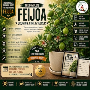 Könnte beinhalten: Ein digitaler Ratgeber mit dem Titel The Complete Feijoa Growing, Care & Secrets, der eine Feijoa-Pflanze im Topf mit grünen Früchten und Blüten zeigt. Die Grafik enthält Text zu Anleitungen, Boden-pH-Werten und einem druckbaren Pflegekalender.