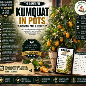 Puede incluir: Una guía digital titulada The Complete Kumquat in Pots que muestra un kumquat en maceta con frutos naranjas y flores blancas, una tableta con una guía de cuidado de plantas y un calendario de cuidados imprimible con listas.