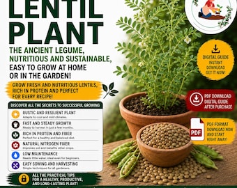 Lentil Growing Guide PDF | How to Grow Lentils in Pots | Balcony Gardening Guide for Urban Gardeners and Beginners