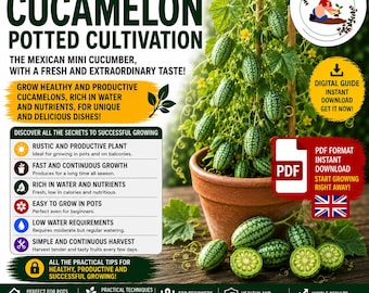 Cucamelon Growing Guide PDF | How to Grow Mexican Sour Gherkin in Pots | Balcony Gardening Guide for Rare Fruits