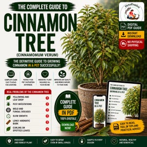 May include: A digital PDF guide titled The Complete Guide to Cinnamon Tree (Cinnamomum Verum) featuring a potted cinnamon tree, text about growing in a pot, common plant problems, and icons for cultivation tips, presented on a white background.