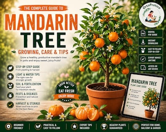Mandarin Tree Growing Guide PDF | Complete Container Growing A–Z | From Seed to Harvest | Nursery Secrets Printable Calendar & Infographics