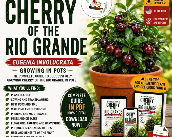 Cherry of the Rio Grande Growing Guide PDF | How to Grow Eugenia involucrata in Pots | Tropical Cherry Tree Care