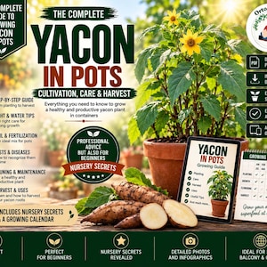 May include: A digital guide titled The Complete Yacon in Pots featuring a yacon plant in a terracotta pot, harvested yacon roots, a growing calendar, and text detailing cultivation, care, and harvest steps for growing yacon in containers.