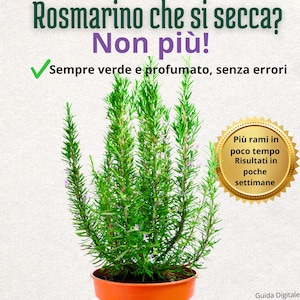 Puede incluir: Una taza de cerámica blanca con un asa negra y el texto "But First, Coffee" en negro, con una fuente de estilo manuscrito. La taza está sobre una superficie blanca.