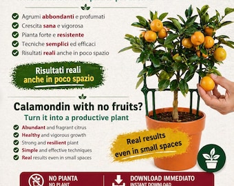 Calamondin Tree in Pot Guide – Grow Citrus in Containers | More Flowers & Fruits Method | Complete Calamondin Care Guide PDF
