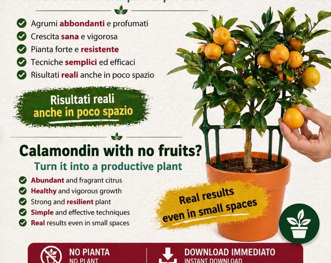 Calamondin Tree in Pot Guide – Grow Citrus in Containers | More Flowers & Fruits Method | Complete Calamondin Care Guide PDF