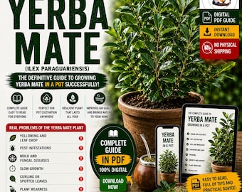 Yerba Mate Growing Guide PDF | How to Grow Yerba Mate in Pots | Ilex paraguariensis Plant Care | Mate Tea Plant Guide