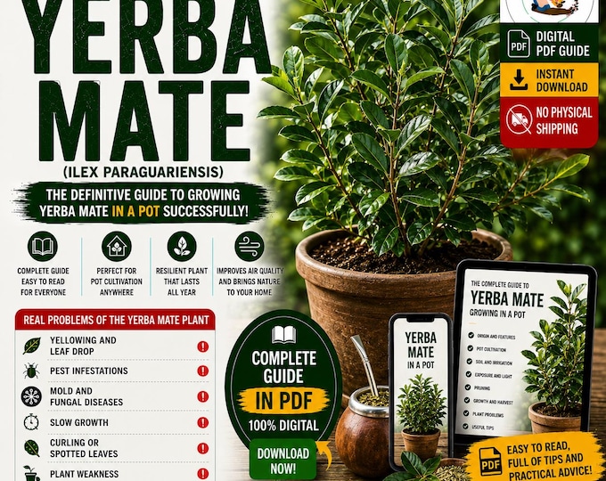 Yerba Mate Growing Guide PDF | How to Grow Yerba Mate in Pots | Ilex paraguariensis Plant Care | Mate Tea Plant Guide