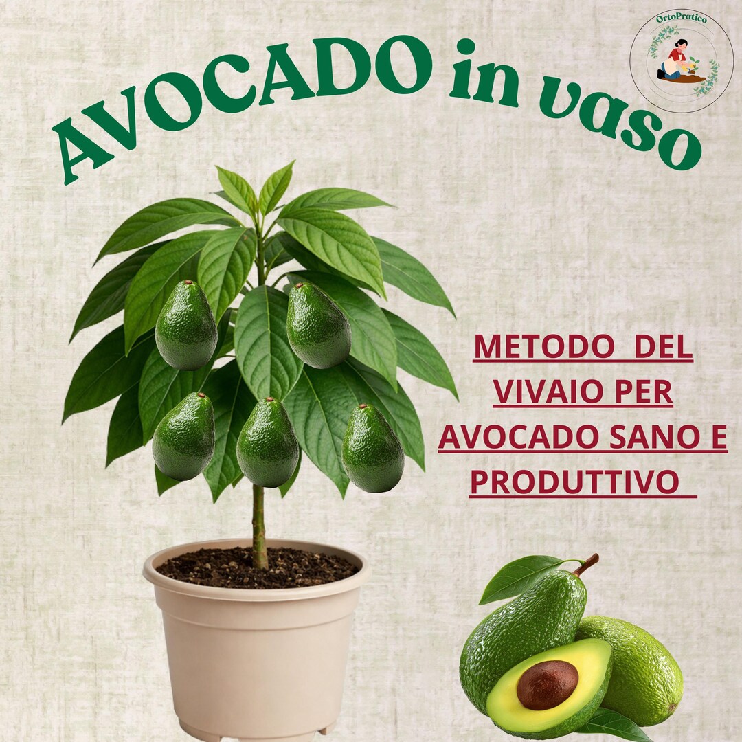 Avocado Tree Growing Guide PDF – How to Grow Avocado in Pots, Pruning ...
