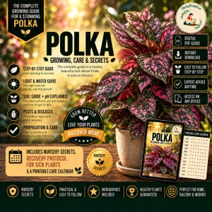 May include: A digital growing guide for Polka dot plants featuring text titled Polka Growing, Care & Secrets. The image displays a potted plant with pink and green speckled leaves, a tablet showing the guide cover, and a printable care calendar.