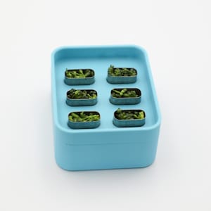 Op de afbeelding: Een lichtblauwe rechthoekige container met zes kleine, rechthoekige compartimenten. Elk compartiment bevat groene plantenmassa. De container staat op een witte achtergrond.