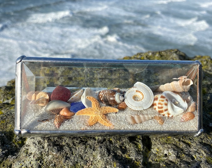 Seascape 2x5 Inch Rectangle Ocean Office and Home Decor, Seashells