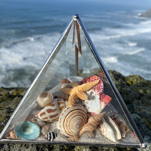 May include: A glass pyramid filled with sand and seashells, including a starfish, a conch shell, and a variety of other shells. The pyramid is sitting on a rock with the ocean in the background.