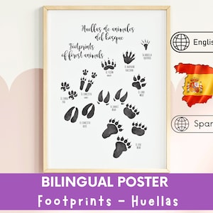 Póster bilingüe inglés-español / Póster educativo de huellas de animales del bosque / Póster imprimible para el aula