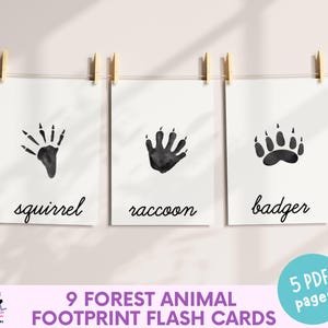 Cartes flash empreintes d'animaux de la forêt, empreintes d'animaux des bois en 3 parties, nature Montessori à imprimer, jeu d'association d'animaux sauvages